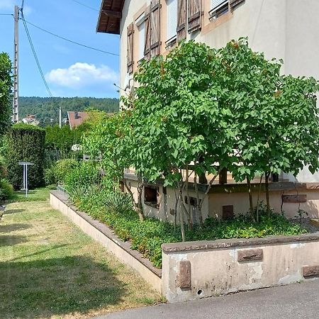 Studio D'Hotes A 10 Km De Gerardmer Le Tholy Kültér fotó