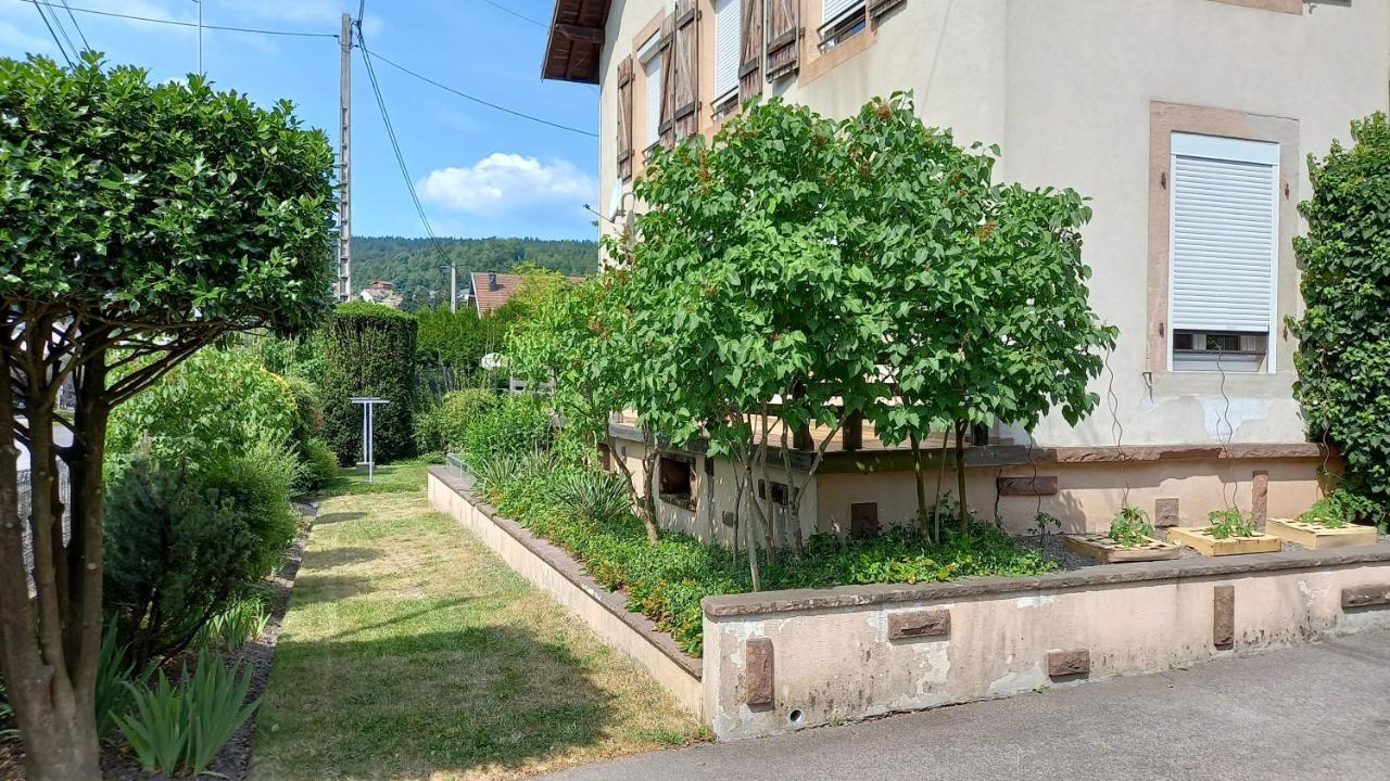 Studio D'Hotes A 10 Km De Gerardmer Le Tholy Kültér fotó